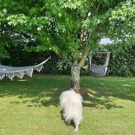 Les Des 4 Vents - Doubles à L'étage Habitación en casa particular